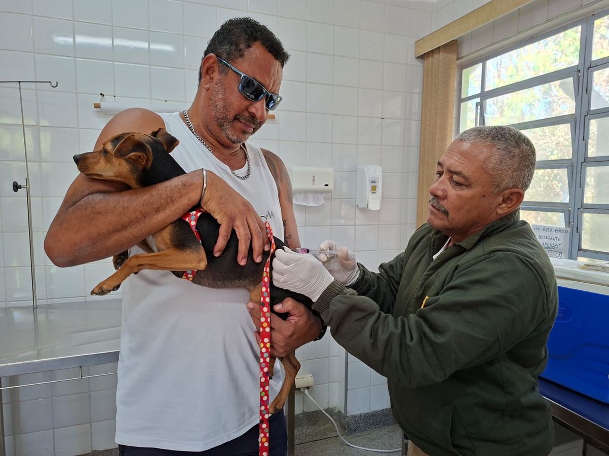 Vacinação de cães e gatos contra a raiva ocorre nesta quinta-feira no CCZ de Guarulhos