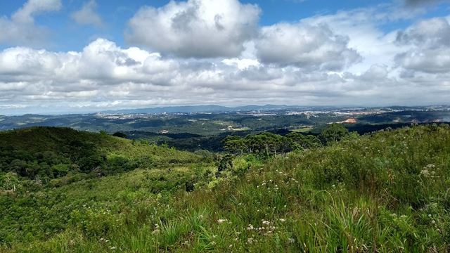 Roteiro gratuito leva moradores ao Morro Nhangussu para conhecer a história de Guarulhos