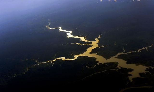 Governo destinará R$ 500 milhões para proteger mata nativa da Amazônia