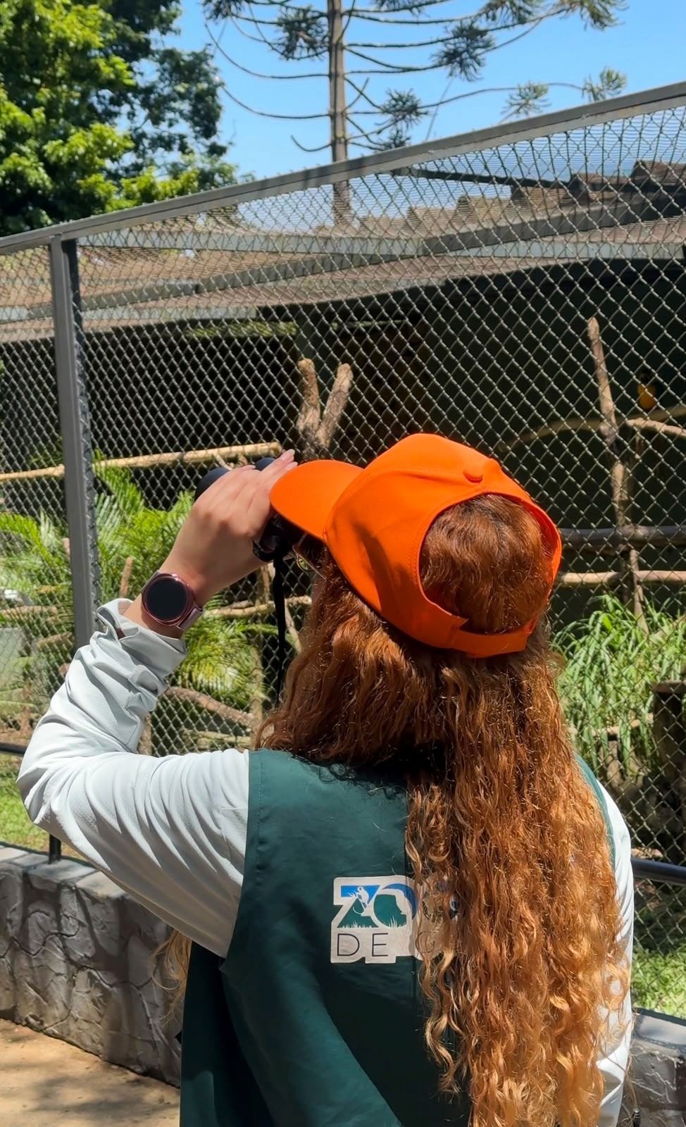 Mundo mágico das aves é tema da atividade Passarinhando pelo Zoo