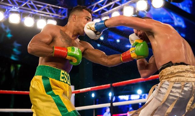 Evento em São Paulo marca volta de medalhistas olímpicos ao ringue