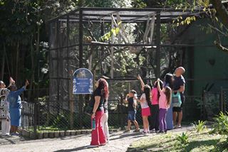 Zoológico Municipal de Guarulhos realiza seletiva para estágio no primeiro semestre de 2027