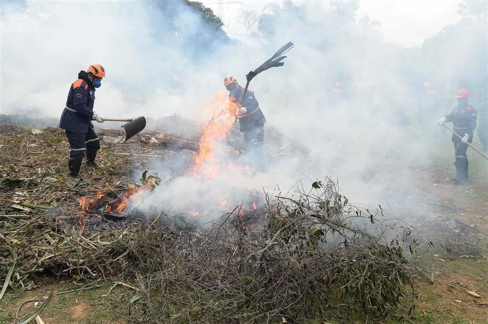 Defesa Civil de Guarulhos treina servidores para a contenção de fogo em mato