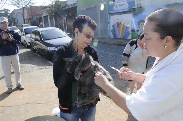 Vacinação contra a raiva prossegue até quinta-feira em supermercado