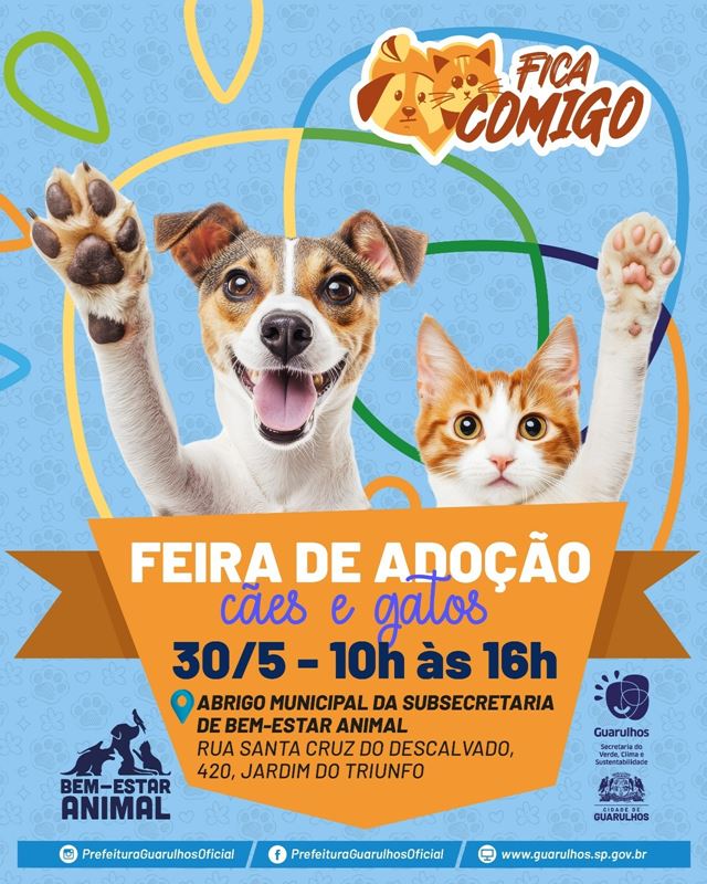 Prefeitura realiza evento de adoção de cães e gatos neste sábado em Bonsucesso