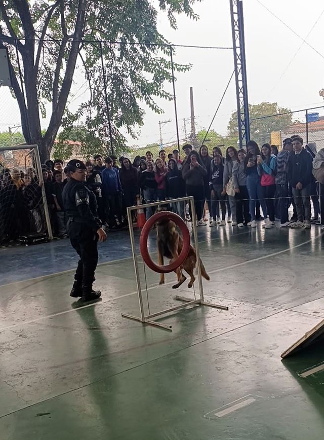 Foto 4