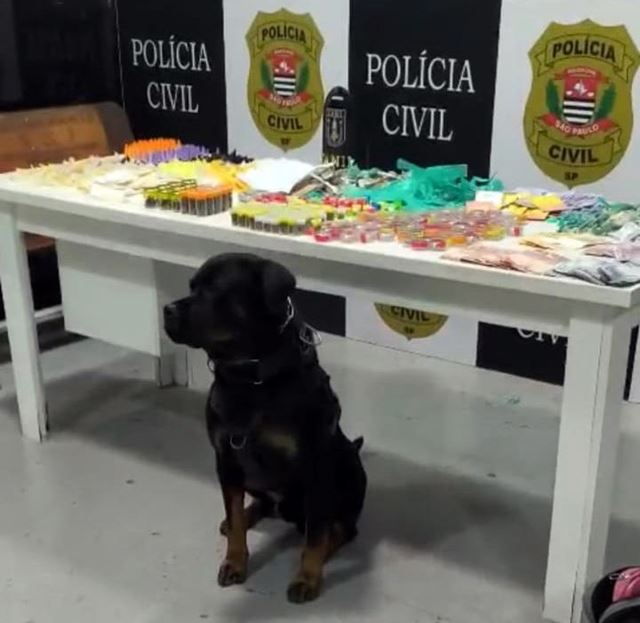 GCM de Guarulhos prende quatro traficantes e apreende 5,9 kg de drogas