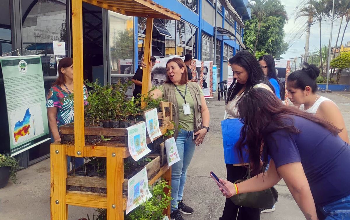Prefeitura distribui 350 mudas nativas da Mata Atlântica no Pimentas
