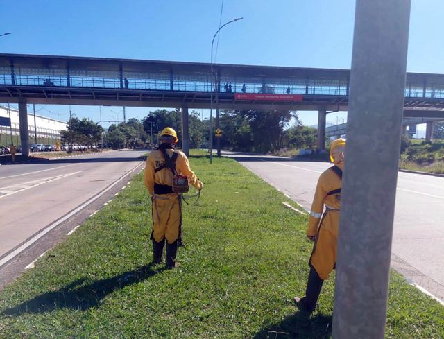 Prefeitura promove a roçagem do mato alto no Jardim Adriana e Taboão