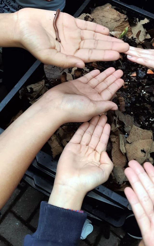 Foto 2
