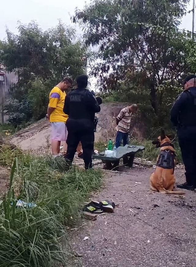 Foto 4