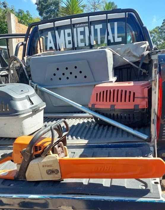 Guarda Civil Municipal combate crimes ambientais e impede danos à natureza
