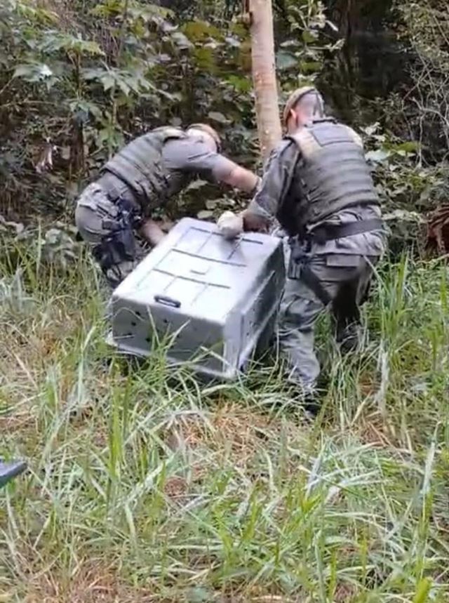 Foto 2