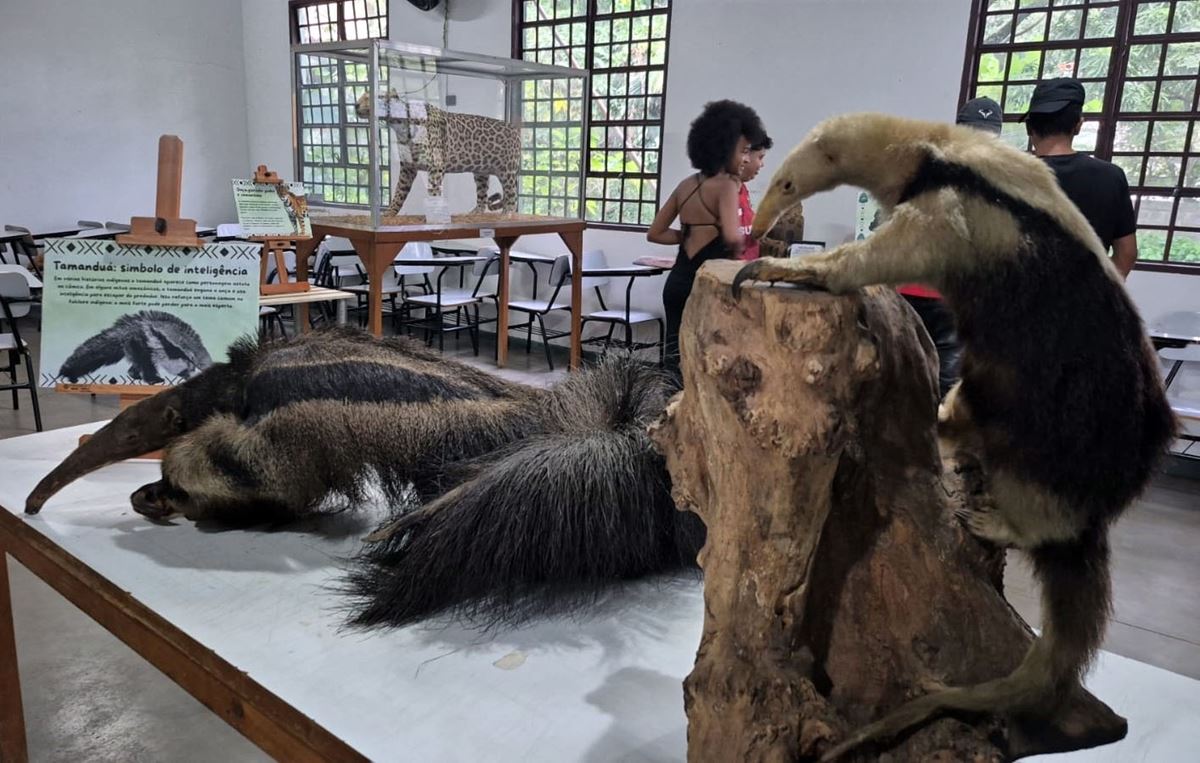 Zoológico e Bosque Maia divulgam agendas ambientais de abril com participação gratuita