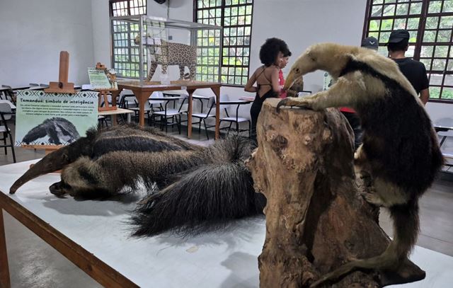 Zoológico e Bosque Maia divulgam agendas ambientais de abril com participação gratuita