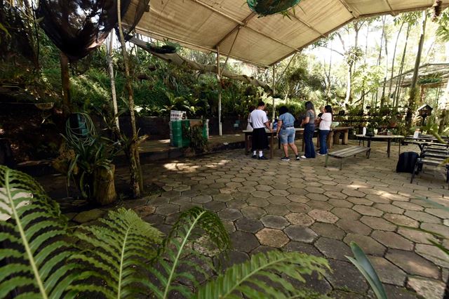 Meio Ambiente abre inscrições para nova edição da oficina SOS Orquídeas