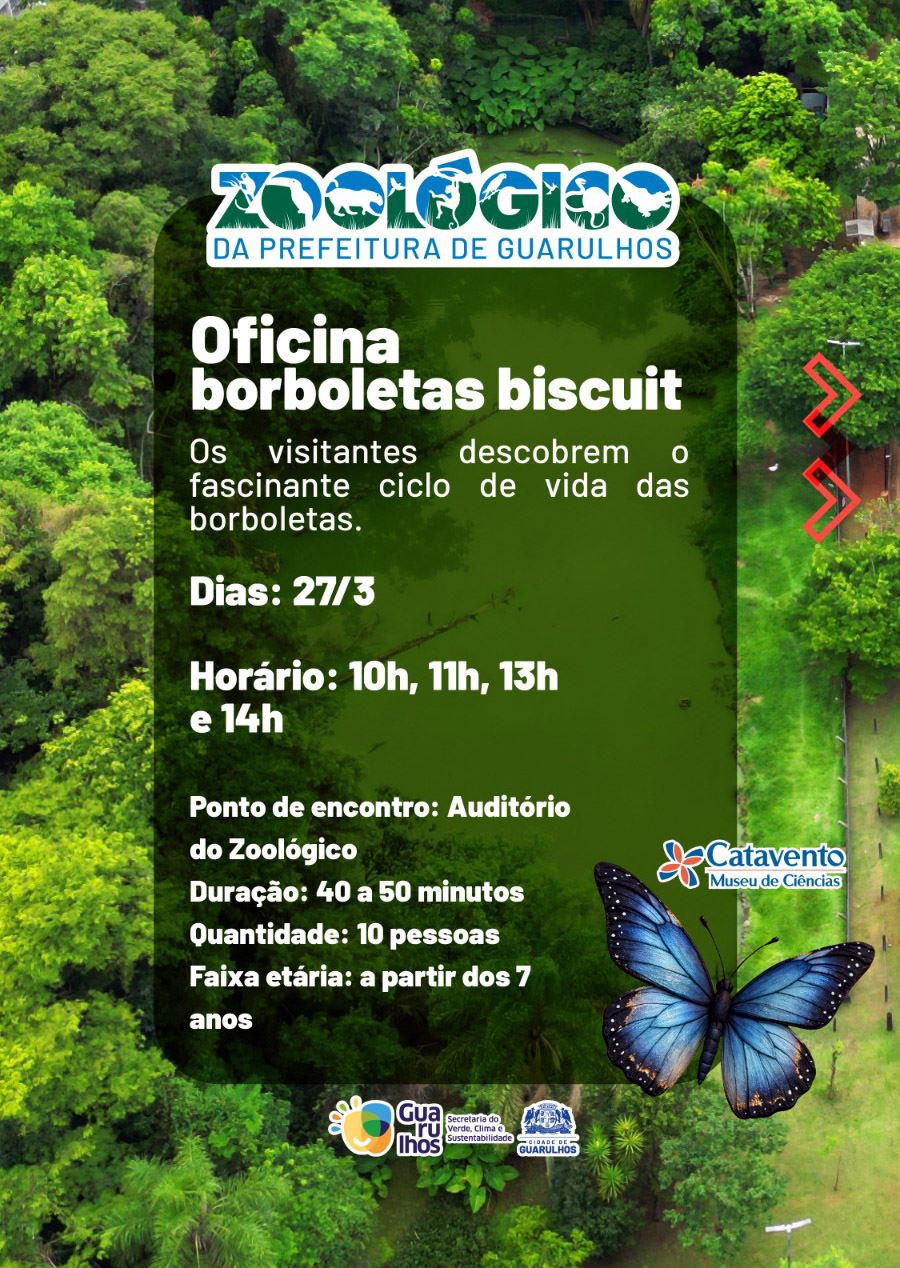 Zoológico e Catavento promovem oficina Borboletas Biscuit nesta sexta-feira