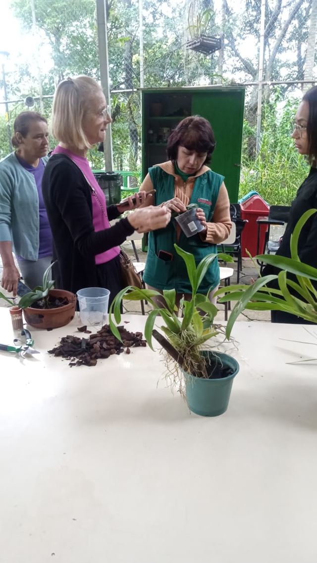 Orquídeas e minhocas fecham agenda ambiental de março no CEA Virgínia Ranali