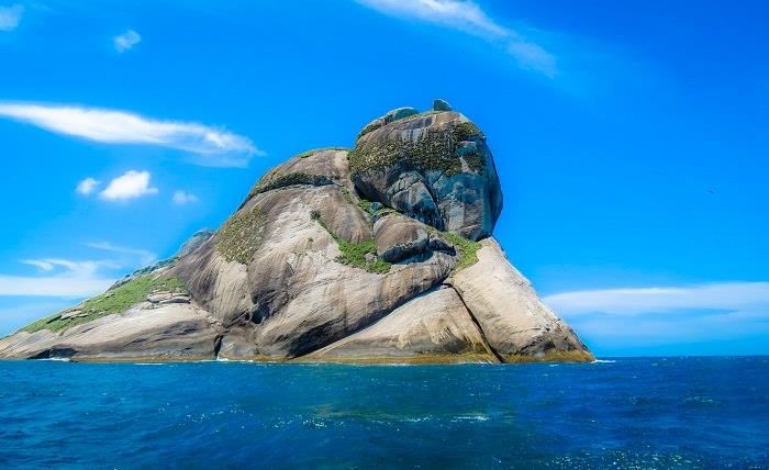 Arquipélago de Alcatrazes, em São Paulo, é aberto ao ecoturismo