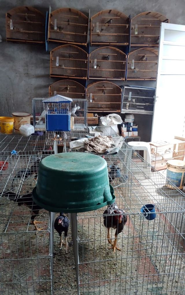 Foto 2