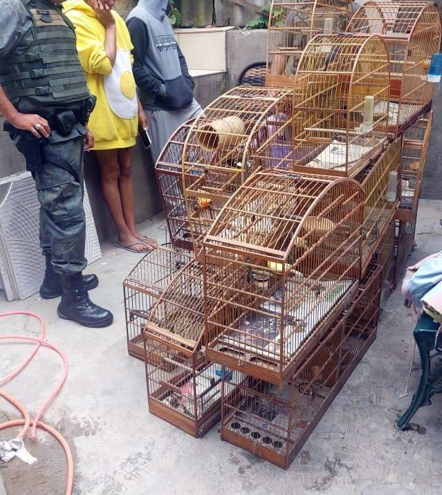 Foto 3