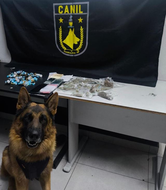 Foto 1
