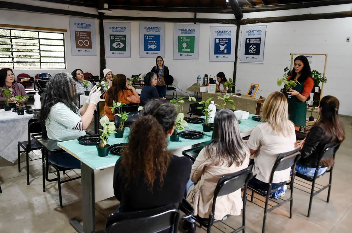 Oficina de Kokedama possibilita relaxamento e encanta funcionários da Prefeitura