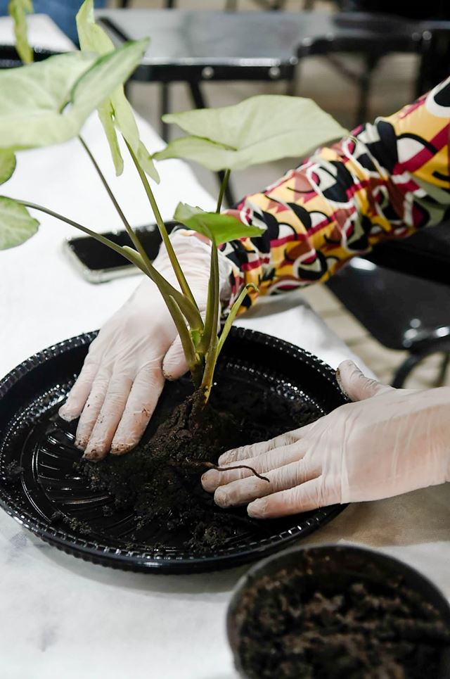 Foto 3