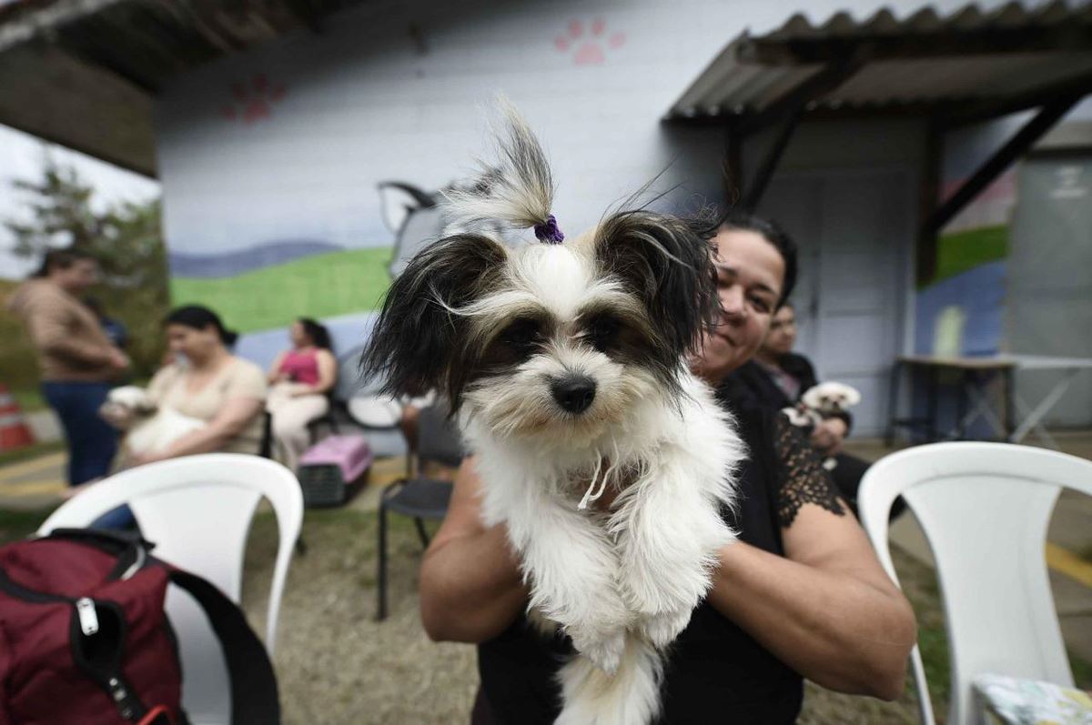 Castra Pet Móvel atende região do Parque Jurema na próxima semana