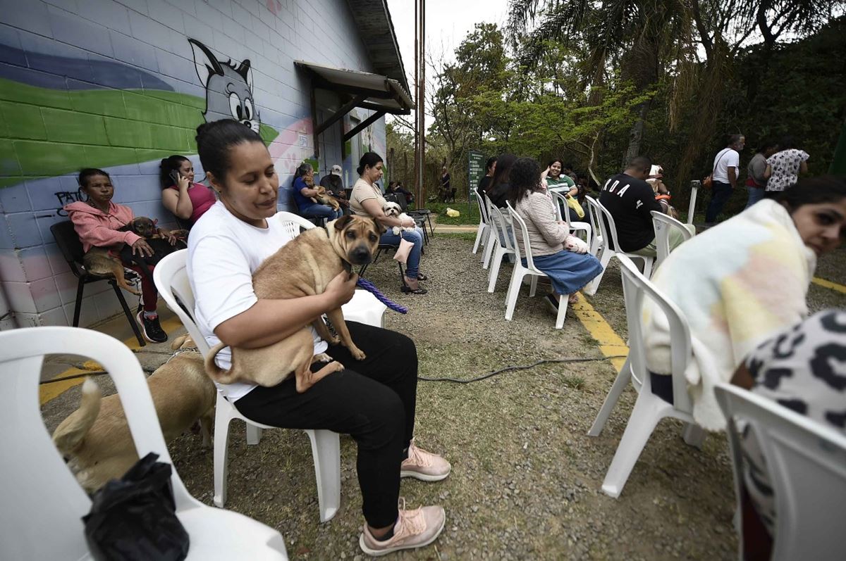 Castra Pet Móvel atende tutores da região do Bonsucesso nesta semana