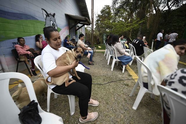 Castra Pet Móvel atende tutores da região do Bonsucesso nesta semana