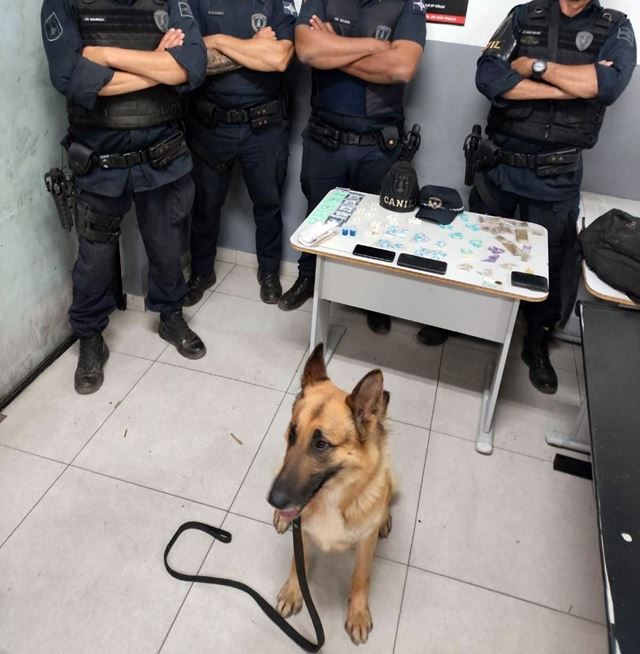 Foto 2