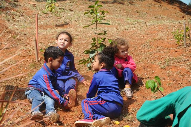 Prefeitura arboriza escola no Parque das Nações