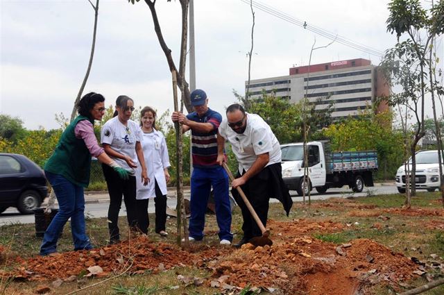 Marginal do rio Baquirivu recebe 200 árvores da Mata Atlântica