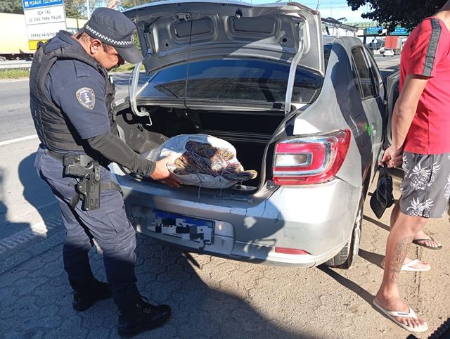 Guarulhos prende cinco criminosos por furtos com apoio da CSI