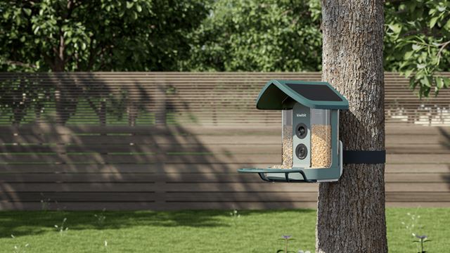 O comedouro para pássaros da Kiwibit, equipado com inteligência artificial, é meu novo companheiro no quintal