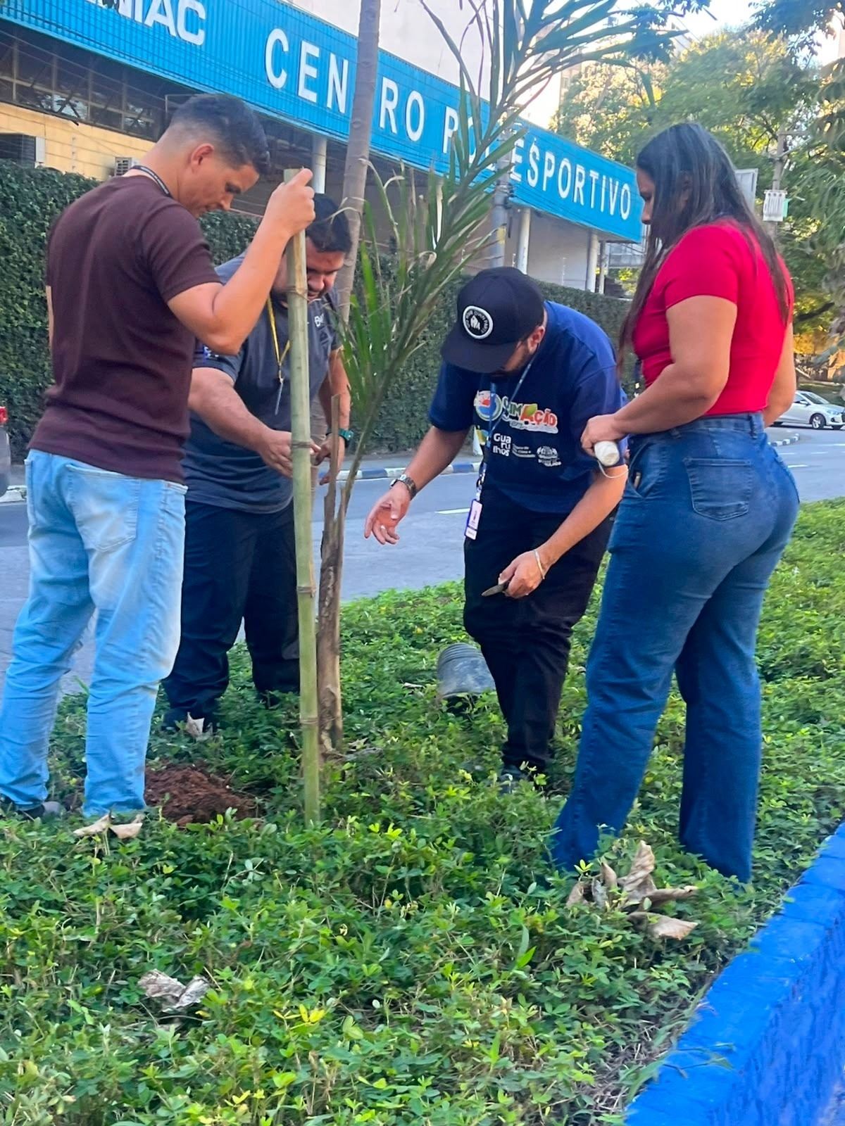 Prefeitura planta 365 mudas de árvores nativas da Mata Atlântica ao longo de junho