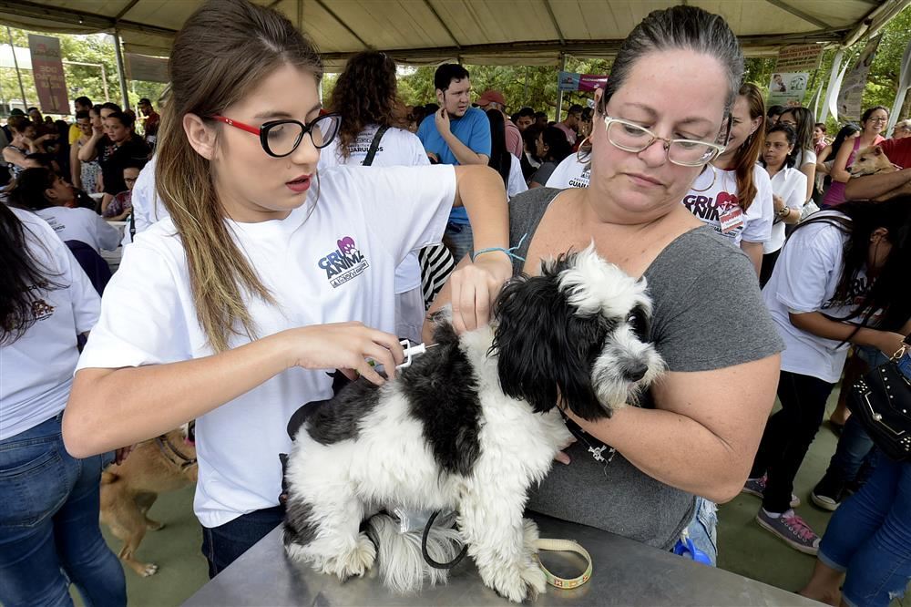 Gru Animal atrai cerca de 6 mil pessoas ao Bosque Maia