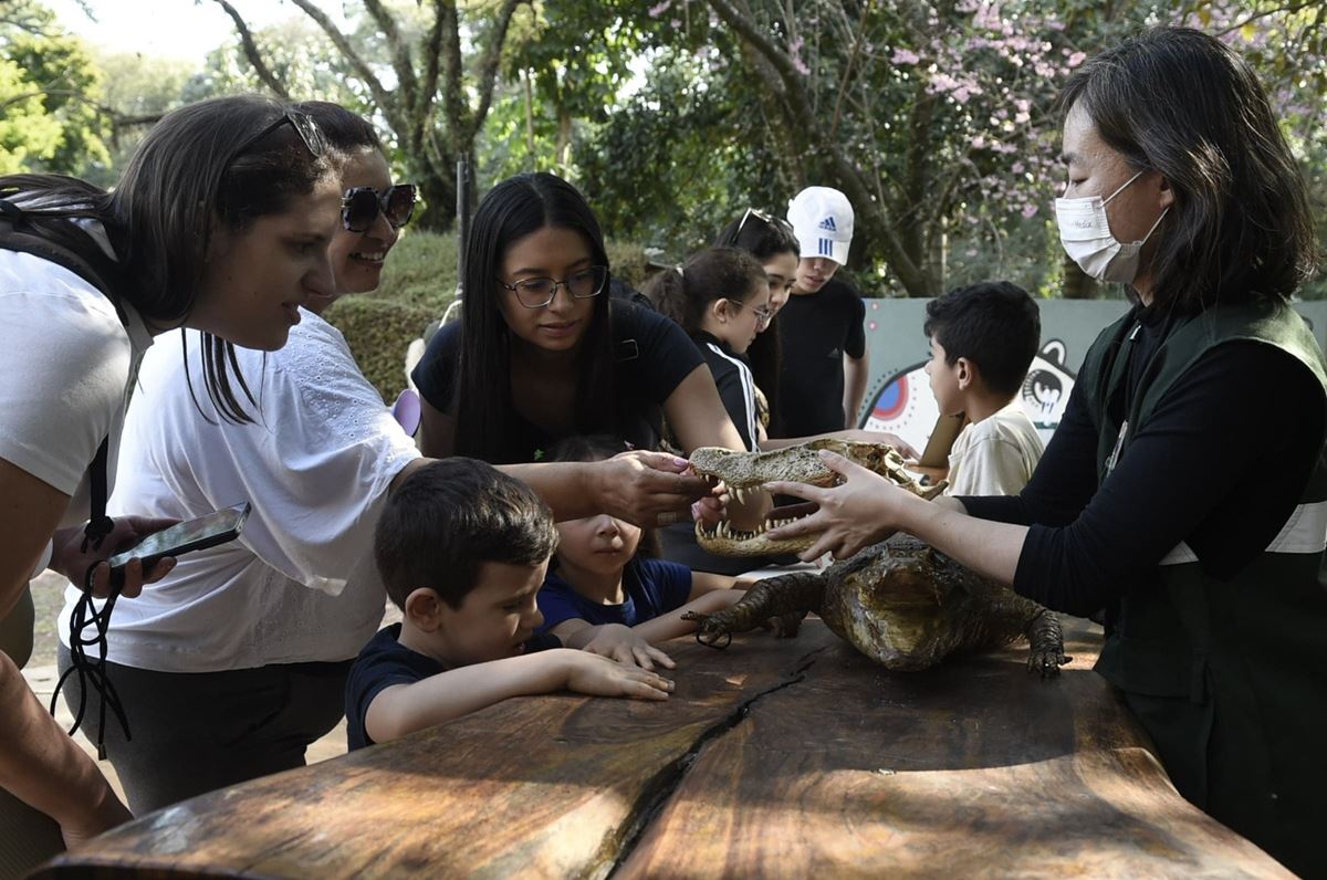 Guarulhos tem agenda de férias recheada de atividades gratuitas