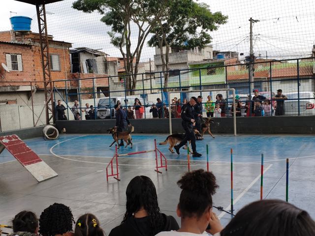 Foto 4