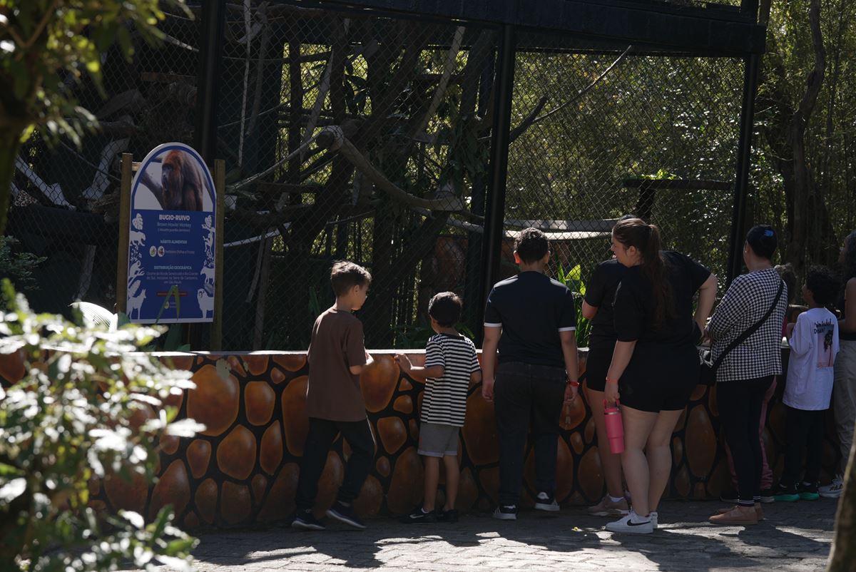 Prefeitura oferece atividades gratuitas para as crianças nas férias