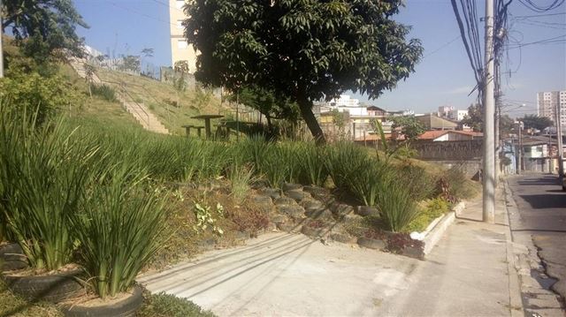 Meio Ambiente revitaliza inúmeras áreas da cidade