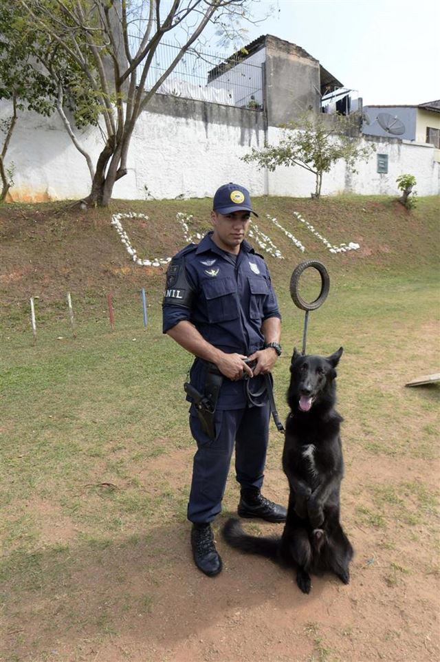 Canil da GCM faz apresentação em ONG no Cabuçu neste sábado