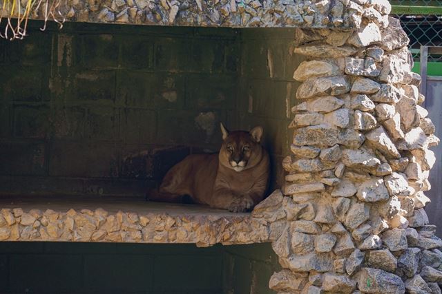 Programação de agosto do Zoológico Municipal tem atividades gratuitas para todas as idades
