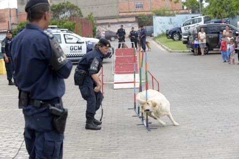 Canil da GCM faz apresentação no Parque Chico Mendes