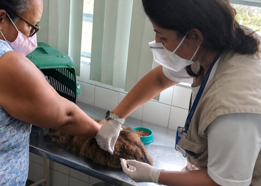 Guarulhos reforça importância da vacinação anual de cães e gatos contra a raiva