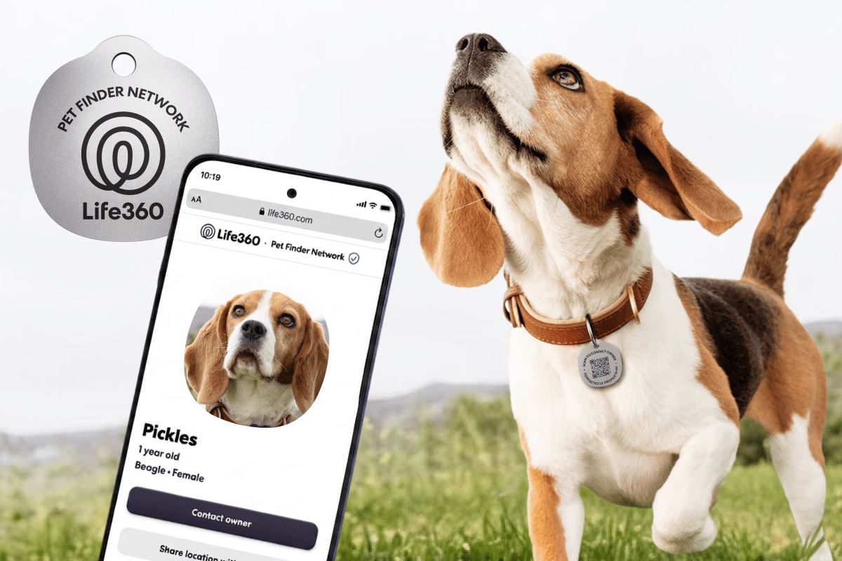 Life360 expande monitoramento de animais de estimação com novas etiquetas escaneáveis de 8 dólares e alertas de zoomie