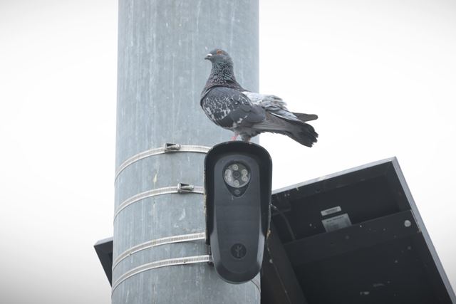 Flórida e Texas avançam para bloquear câmeras da Flock devido a preocupações com privacidade