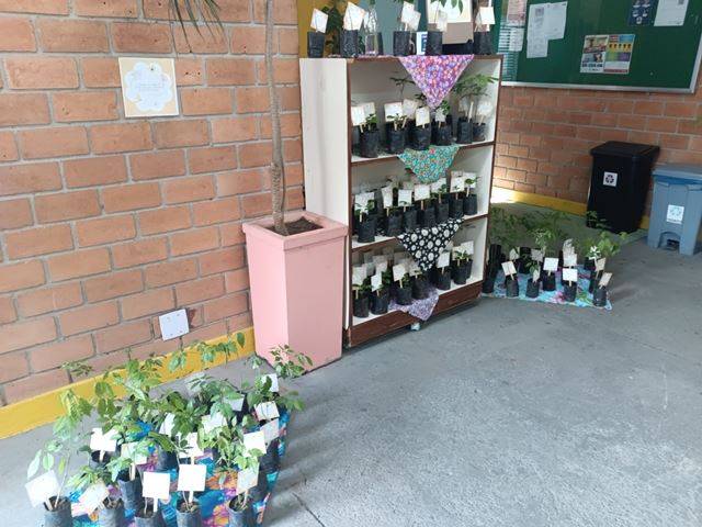 Foto 3