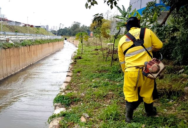 Prefeitura promove serviço de roçagem em diversos pontos da região central